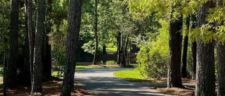 2025-9-12 凡走过必留下痕迹