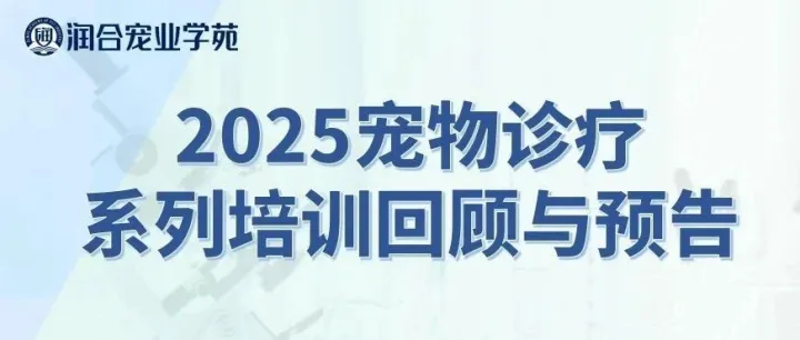 精彩回顾|2025润合宠业学苑&ADM普乐特新大讲堂上半年总结！