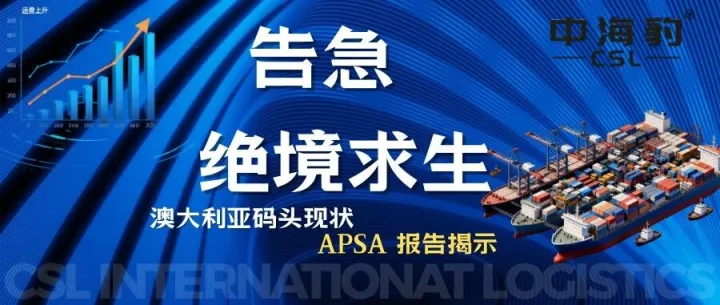 震惊！澳洲航运彻底乱套！运费暴涨、集装箱堆积如山，生意还能怎么做？