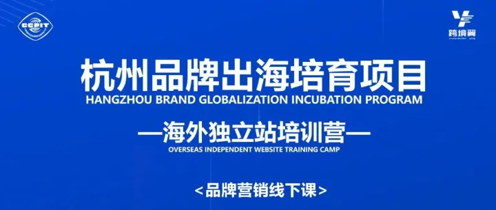 品牌本土化与全球化实战 : 携手海外导师，破解跨境难题