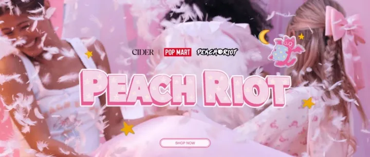 1627亿美元红海厮杀，这家中国女装品牌如何靠TikTok三个月登顶？