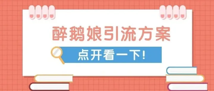 醉鹅娘<em>引流</em><em>方案</em>.ppt