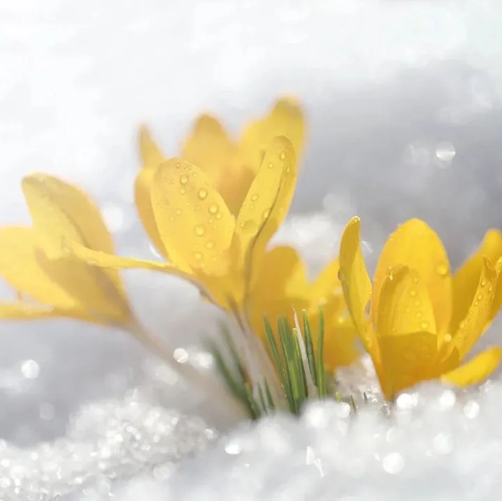 海链资讯 | CPI、PPI双降