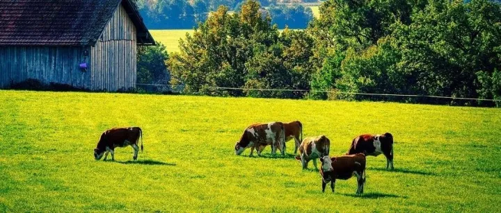 低碳高效，美国牛肉这样实现“可持续生产”！