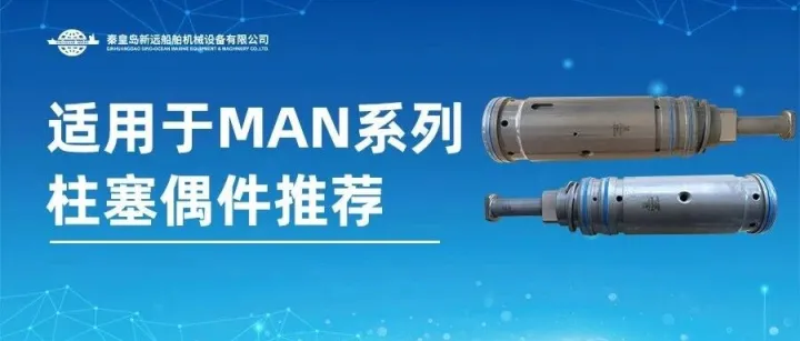 新远船舶适用于MAN系列柱塞偶件原厂新品推荐PUMP BARREL <em>COMP</em>.