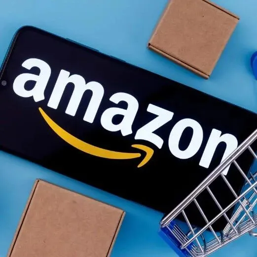 亚马逊体验 Google 搜索可见性下降