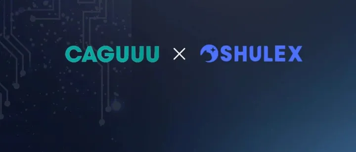 卡谷(CAGUUU) x Shulex：告别多渠道触点折返跑，AI 客服员工让服务体验一步到位！