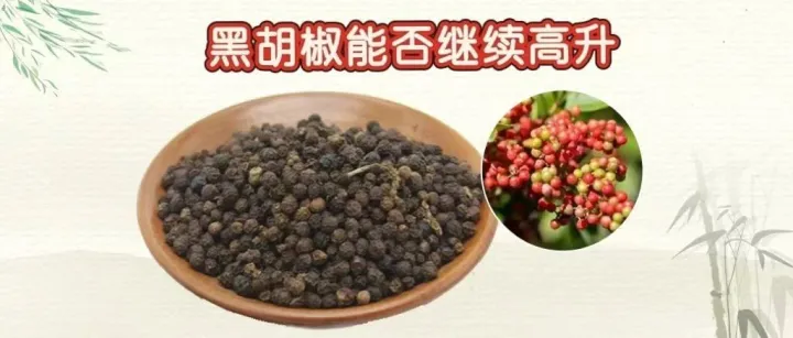 黑胡椒能否继续高升