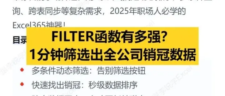 FILTER函数有多强？1分钟筛选出全公司销冠数据！