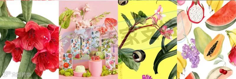 5-cv-01221,植物插画师Shelley