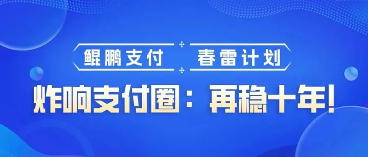 鲲鹏支付“春雷计划”炸响支付圈：再稳十年！