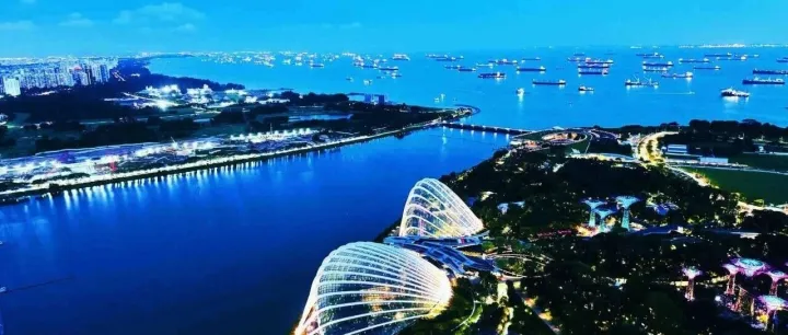 从 “买单” 到合规，17 号文倒逼出口企业转型，1039/0110/9610/9810 怎么选？