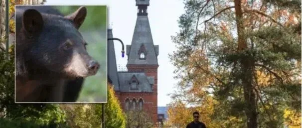 炸裂！康奈尔两学生猎杀黑熊后，竟搬回了学校厨房，全校炸锅，校方紧急封锁！