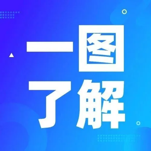 Foreign Individual <em>Income</em> Tax Policy <em>Guide</em> (Basic Principles)