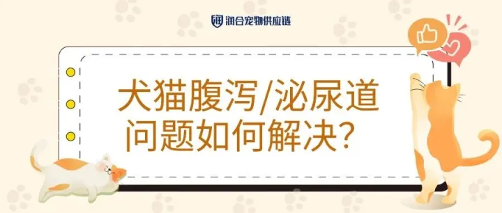 犬猫腹泻/泌尿道问题高发？听听临床医生怎么说！