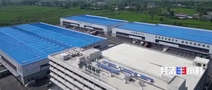 发展跑出加速度 在冷链物流中看全国统一大市场