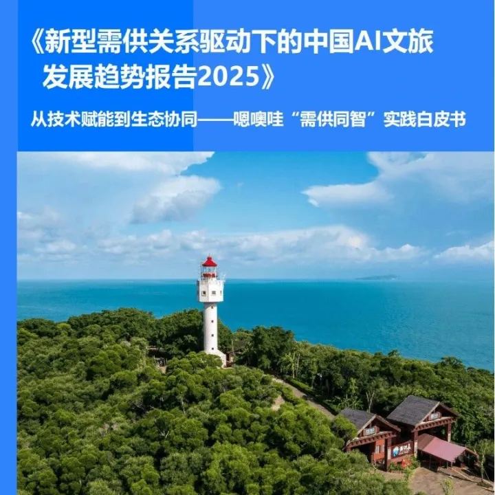 2025年新型需供关系驱动下的中国AI文旅发展趋势报告 （附下载）