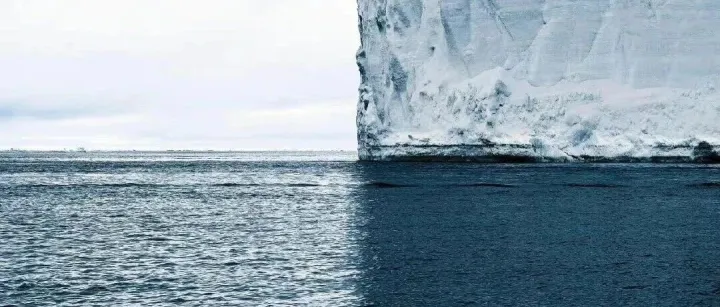 武汉大学换帅！