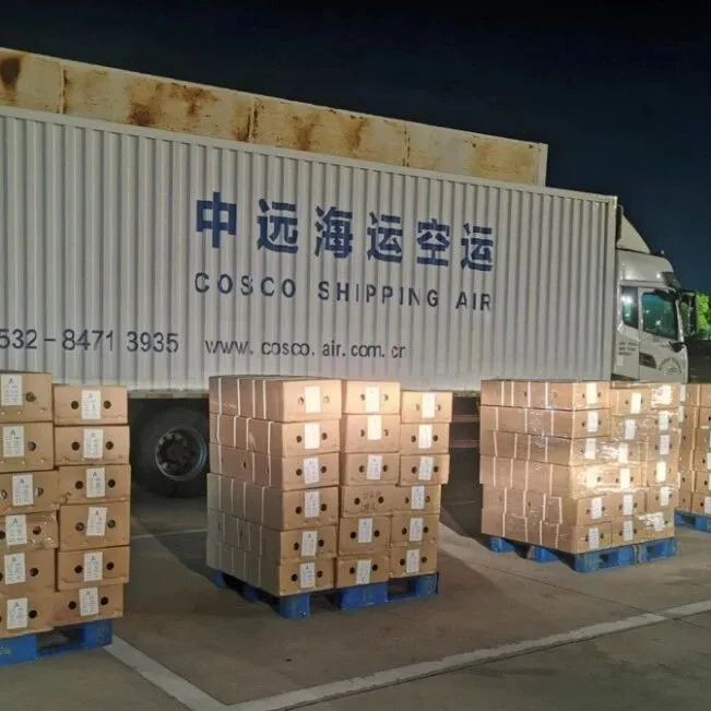 “空空联运”，让鲜花“鲜”抵仁川