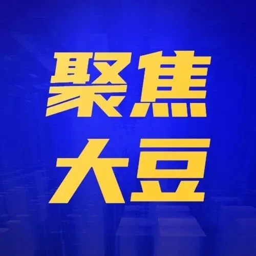 大豆新豆上市范围扩大   南北豆市孰强孰弱