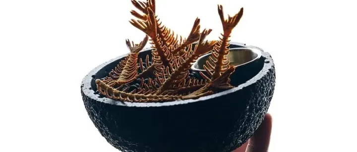 Penicillin's New Bar Bites – Fishbone Biscuits & Cigar Cannoli