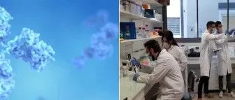 【供】法国公司提供创新抗体药物研发服务