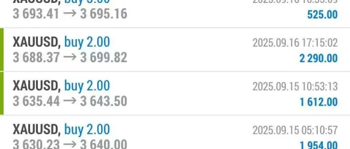 外汇优质技术托管理财合作