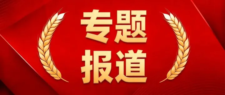 深圳报业重磅聚焦！施罗德15年蝶变路：从起步到领跑的传奇