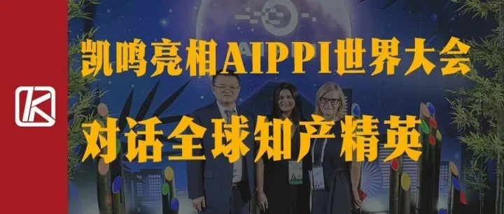 凯鸣亮相AIPPI世界大会，对话全球知产精英