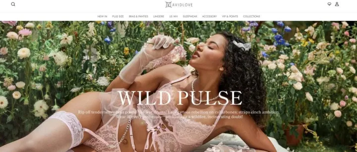 TikTok Shop 美区解锁情趣内衣新类目：跨境卖家的蓝海机遇与合规突围