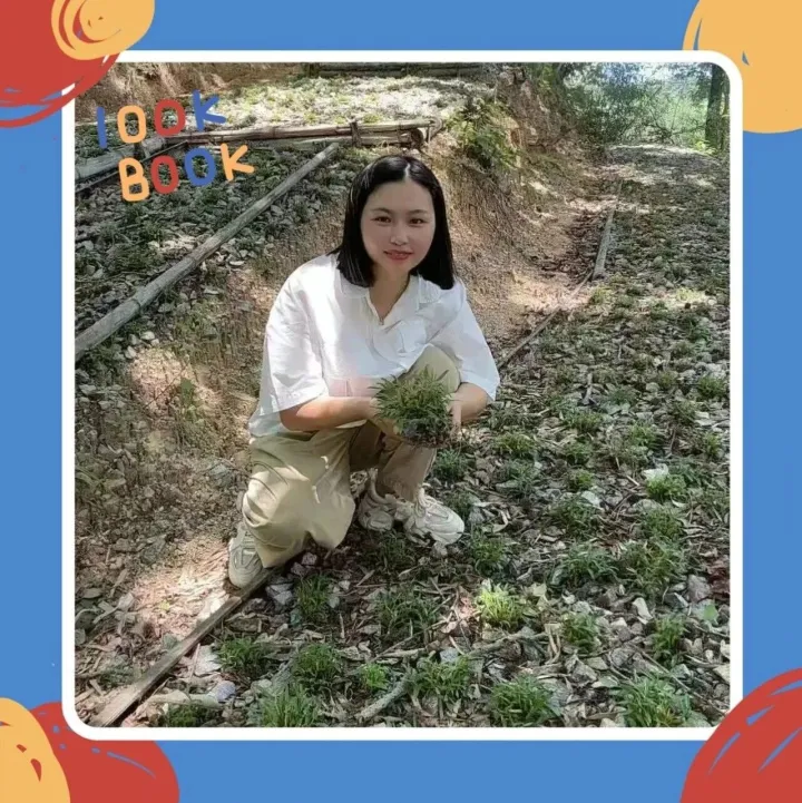 “天价石斛”跌落神坛，霍山斛农的一番实话，让人恍然大悟，事关家人抓紧看 ！