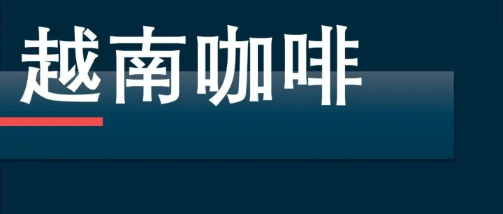 越南咖啡出口破 65 亿美元 | 提前 5 年完成 2030 目标