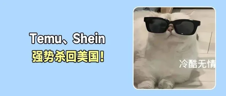 Temu、Shein在美强势反弹！Temu战略再升级：瑞士本土商家开放入驻！