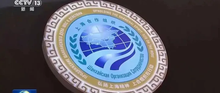 《经济日报——上合组织在行动》上合示范区释放区域经贸合作新动能