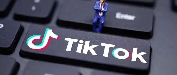 TK Max人群结构及四类流量池拆解