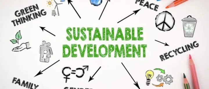 EU sustainability rules: the uniformity trap risk