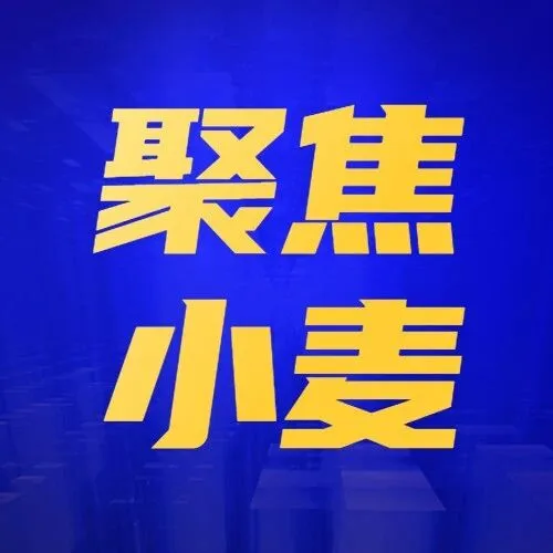 面粉市场挺价待涨  节日效应递减
