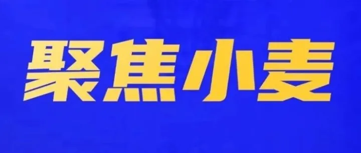 小麦旺季收购超亿吨   后市无需太悲观
