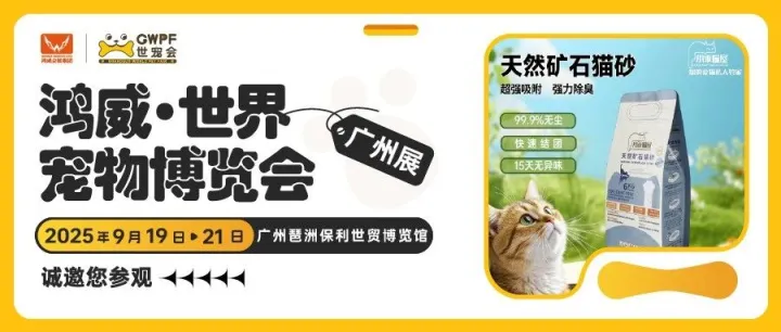 立志做您的爱猫的私人管家 | 小乖喵屋与你相约世宠会广州宠物展