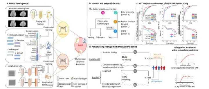 Nature communications | 可解释性纵向多模态融合模型用于预测女性乳腺癌患者新辅助治疗反应