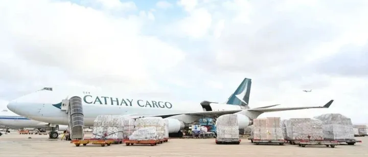 251件30.1吨，上海机场顺利保障古埃及国宝文物离沪赴港