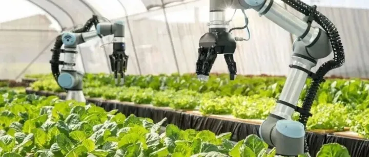 智库观点680：科技赋能：拉美农业数字化转型