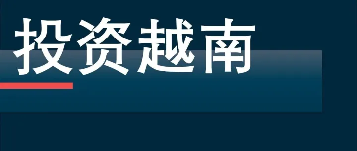AI、云计算、绿色能源齐聚越南 | 中国企业掀投资热潮