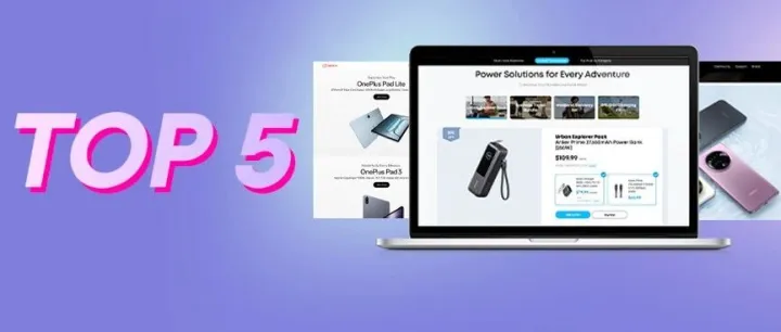 2025中国跨境电商出海成功品牌TOP5：跨境独立站