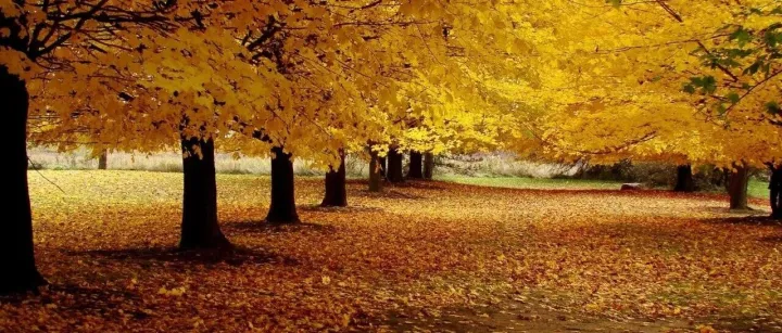 濮阳惠成案例深度解析：股权信托如何巧筑上市公司控制权新架构（一）实际控制人认定 & 穿透披露