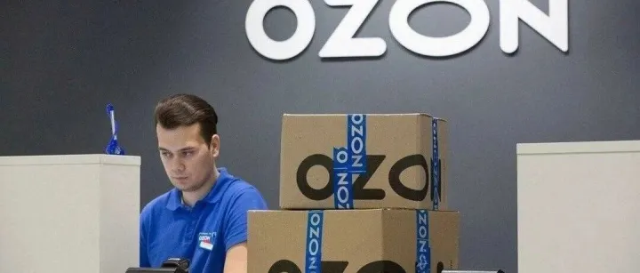OZON 新手慎入：这 6 个类目看似好做，实则让你亏光启动资金