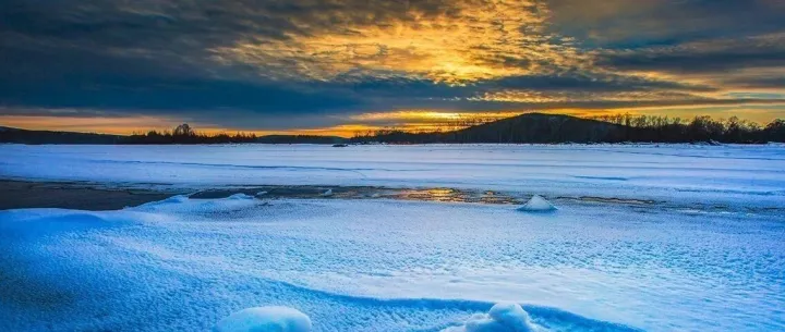 重磅！2025全球前2%顶尖科学家榜单发布，多名植物科学学者入选