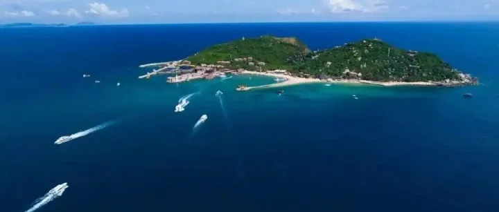 VISTA信托的三大迷思：执行者、保护人与质询人的法律真相