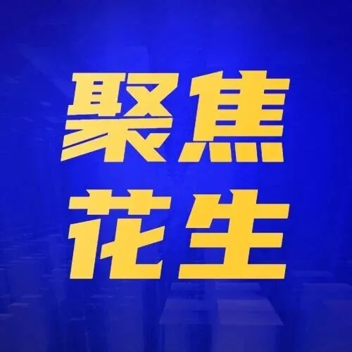 花生观望气氛加剧   新季底气不足