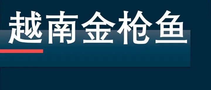 欧盟爆增 40%，日本激增 88%｜越南金枪鱼出口回暖